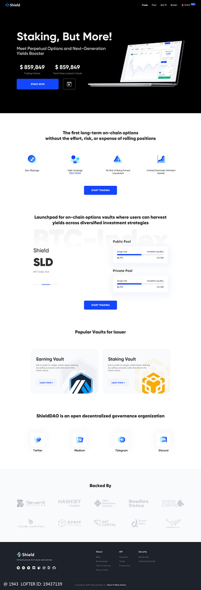 Shield Website design illustration ui website