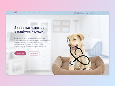 Website design for veterinary hospital design ui ux