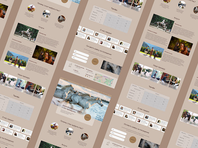 Website design for horse club | 4 (Landing page) design ui ux