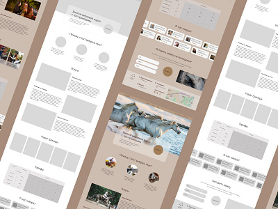 Website design for horse club | 3 (Landing page) design ui ux