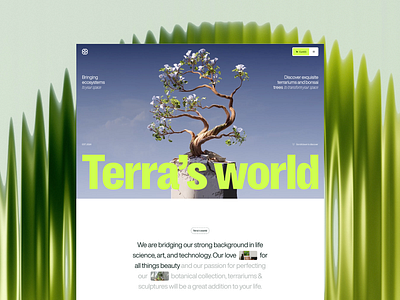 Website for Terrarium Shop 3d animation bonsai clean concept design footer green hero hero with image homepage layout minimal design plant shop store terrarium testimonial ui uiux website