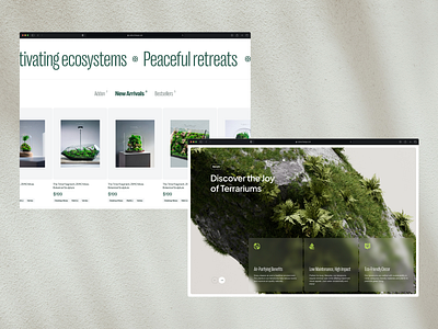 Website for Terrarium Shop 3d animation bonsai concept design footer green hero hero with image homepage layout natural plant shop store terrarium testimonial ui uiux website