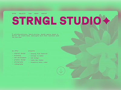 STRNGL STUDIO - Design Agency Website agency branding creative design digital design motion graphics photography studio ui ui design ui ux ux design videogarphy web web design web development web ui web ux website website design