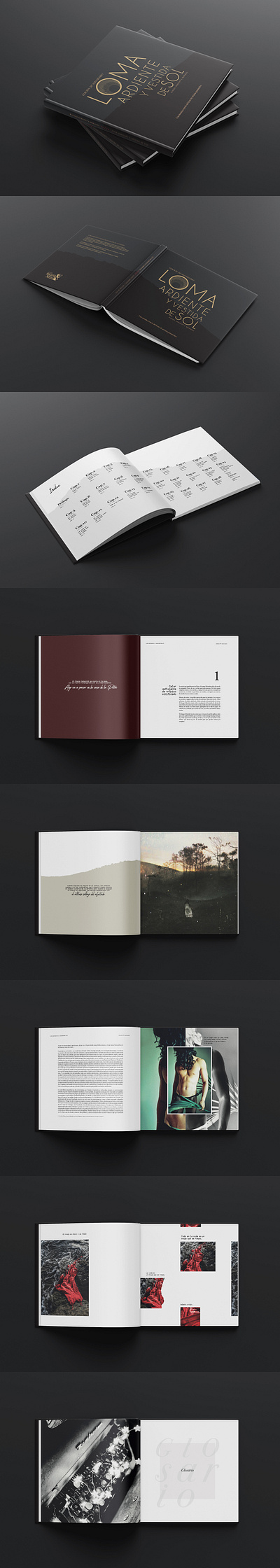 Editorial Design Book "Loma Ardiente" branding design editorial design graphic design illustration logo typography