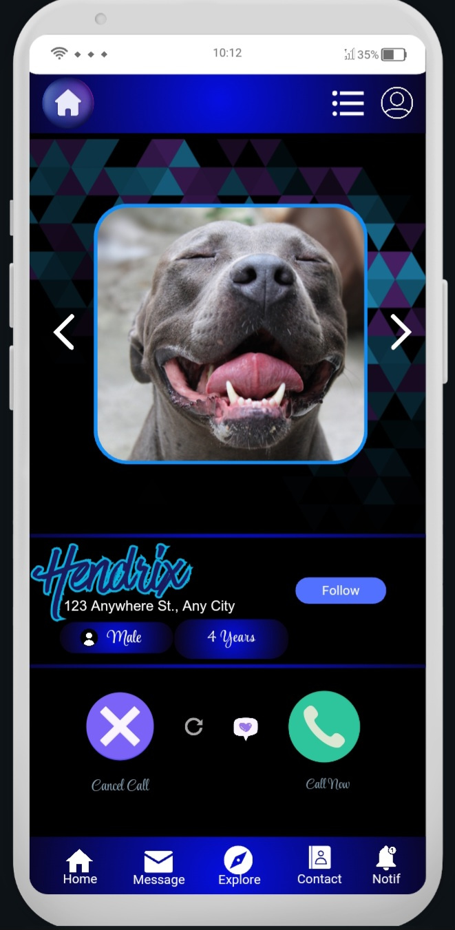 Example of Mobile App Design 