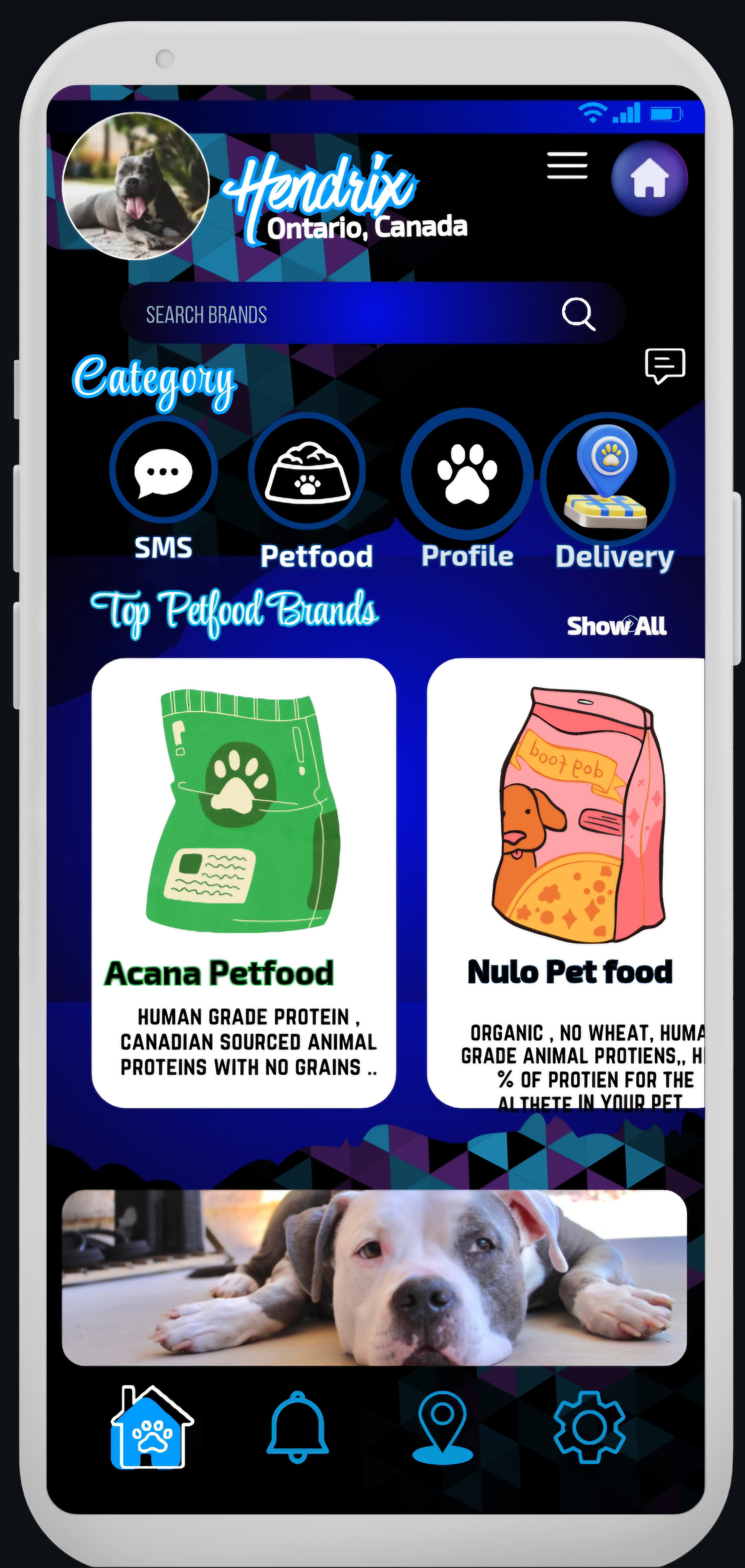 Example of Mobile App Design 