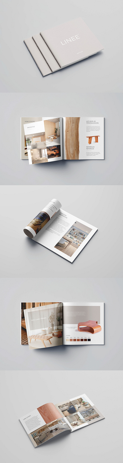 Editorial Design Furniture Brand Logo & Booklet branding design graphic design illustration logo typography vector