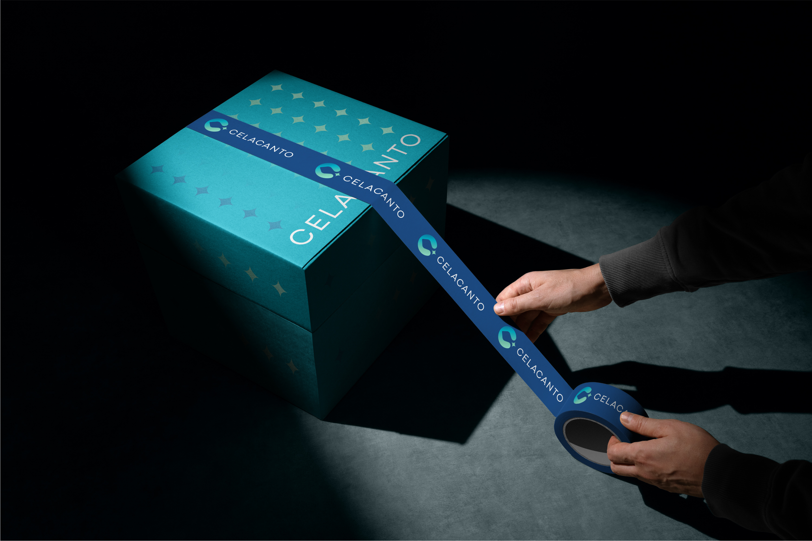 Example of Branding / Visual Identity Package