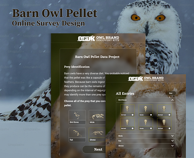 Barn Owl Pellet Survey Website – Figma UI/UX Design figma friendly user interface intractive form minimalist ui survey survey websites ui