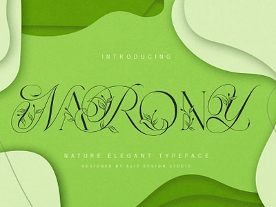 Narony Natural Typeface design font fonts letteing typeface