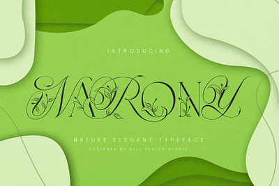 Narony Natural Typeface design font fonts letteing typeface