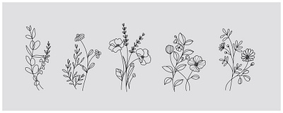 Illustration Flower Images