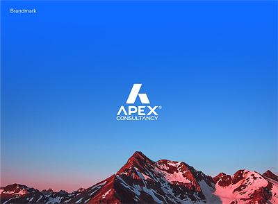 Apex® Re-Brand — Logo, Identity & Website brand guide brand identity branding brandmark color palette logo logomark rebrand style guide ui