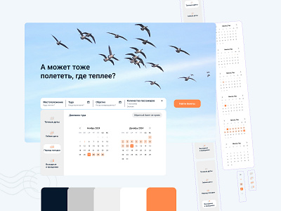 Сalendar for travel website components travel ui ux variants web design сalendar