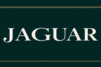 Jaguar Elegant Serif Font Typeface design elegant font logo serif