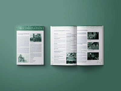 Newsletter Design indesign newsletters photoshop publication design typography