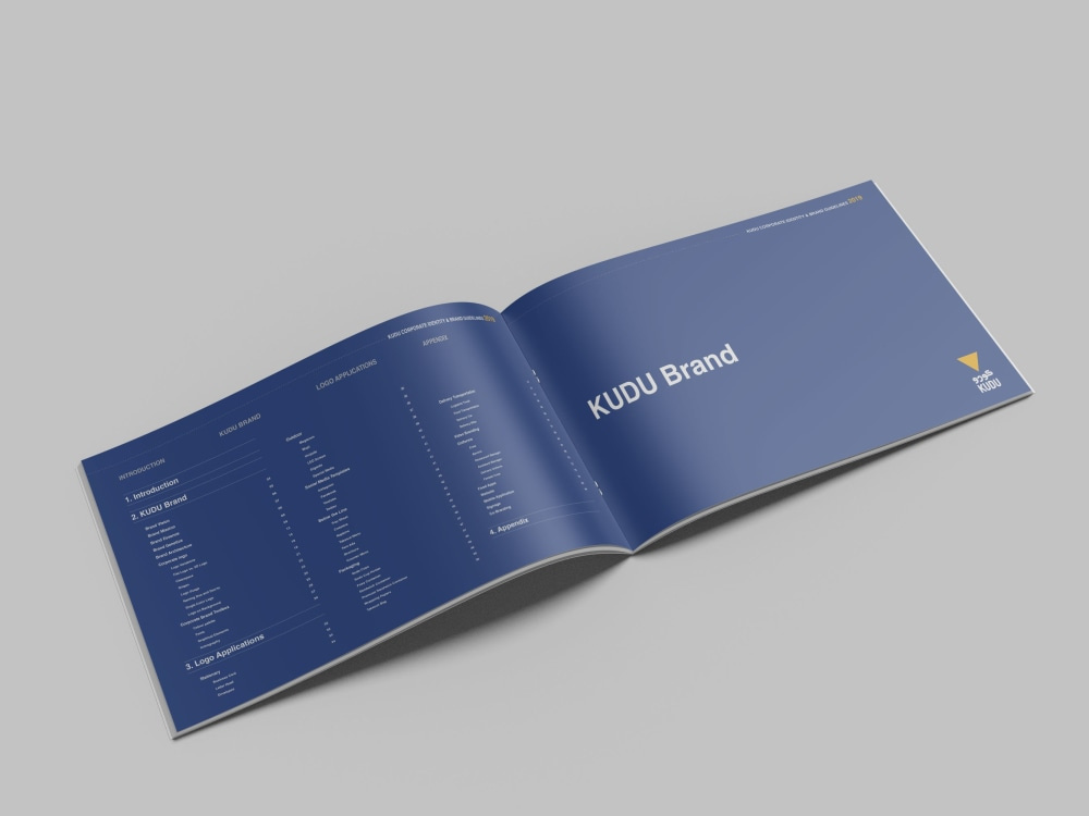 Example of Detailed Brand Book Design