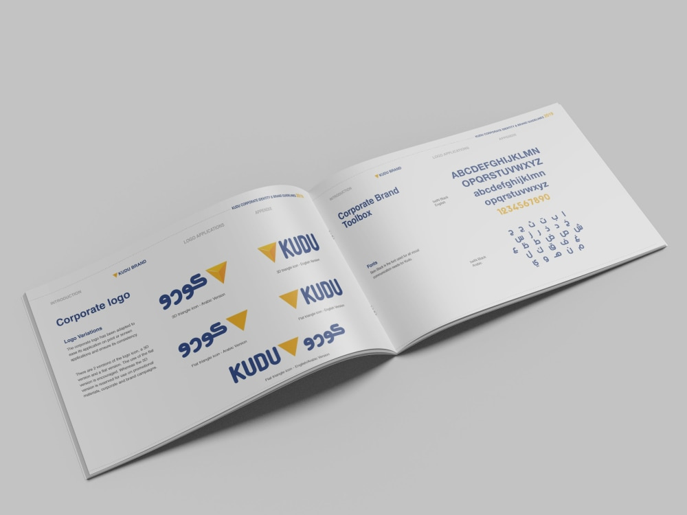 Example of Detailed Brand Book Design