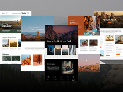 National Parks Page Concepting adventure agency climbing cms conservancy conservation exploration grand rapids hike hiking national parks nonprofit outdoors parks sustainability trip ui ux web design website