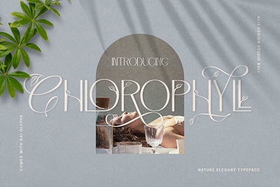 Chlorophyll Typeface design font fonts letteing typeface