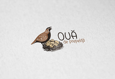 Quail Eggs brand branding bussiness card company design eggs logo quail quail eggs