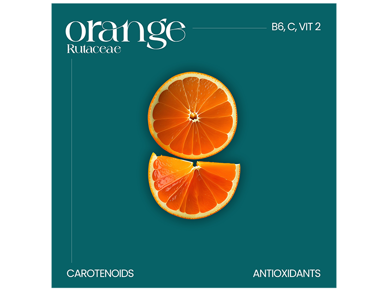 Minimal Banner Design for ORANGE ai art artist banner design branding graphic design minimal design typography