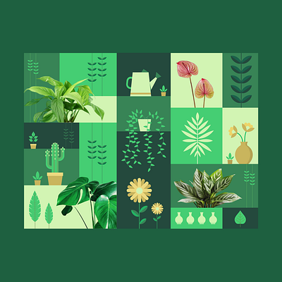 Plants collage flowers greenlife illustration nature natureillustration plants visualart