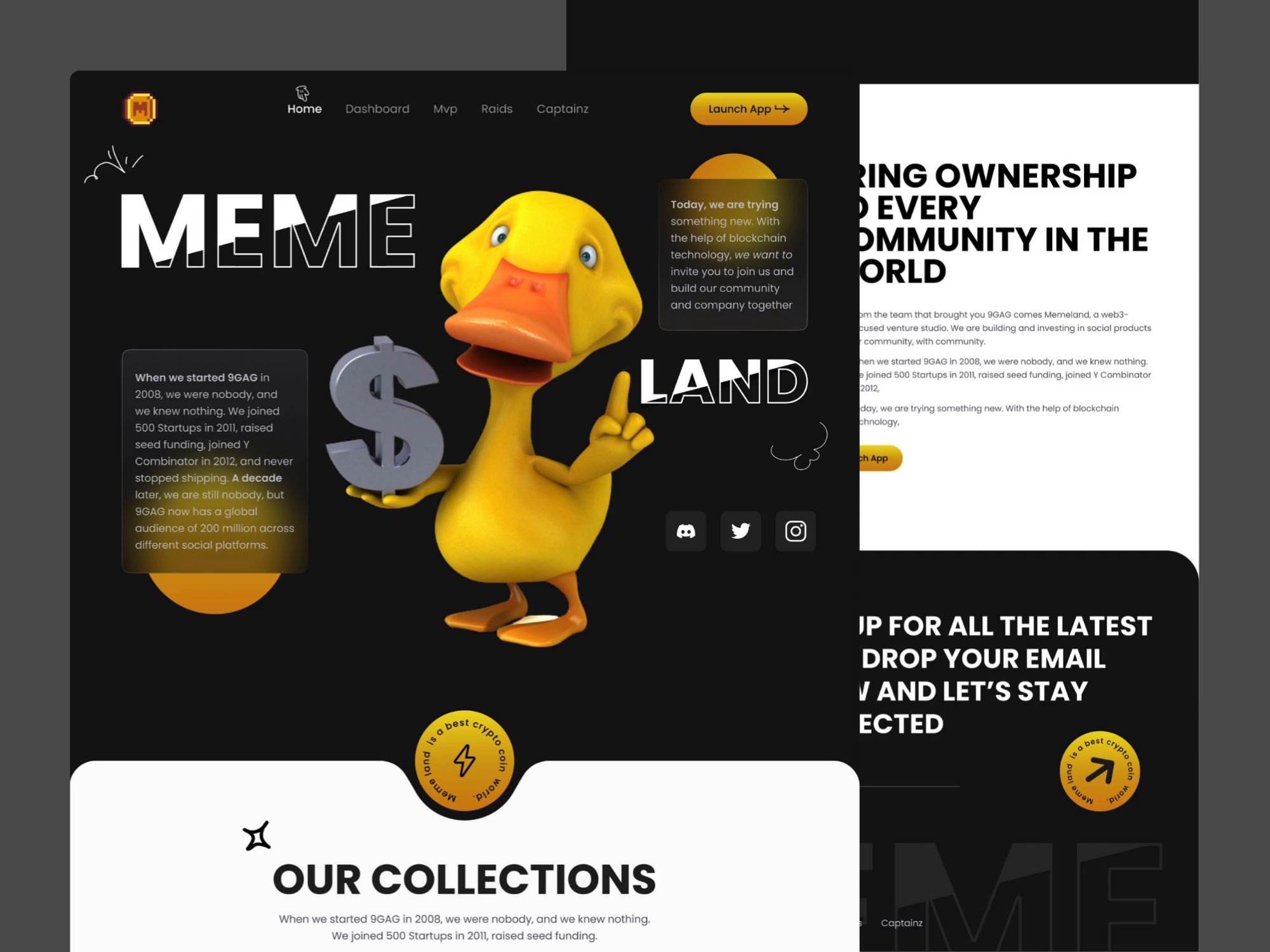 Example of Meme Coin Website Design, Crypto Website