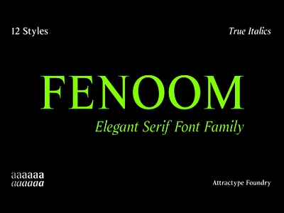 Fenoom Elegant Serif Font bold font elegant font font design fonts formal font italic font logo font luxury font news font serif font typography ui variable font