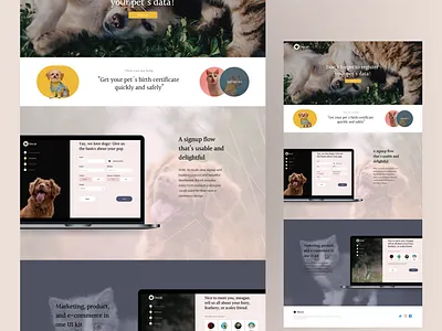 Docat landing page ui