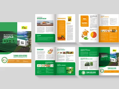 Business Profile Turmo Agri Herbo branding brochure design graphic design indesign