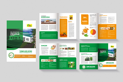 Business Profile Turmo Agri Herbo branding brochure design graphic design indesign