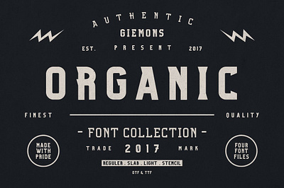 Organic Family - 50% OFF badges banner display font fonts giemons logo organic organic family 50 off serif slab stencil