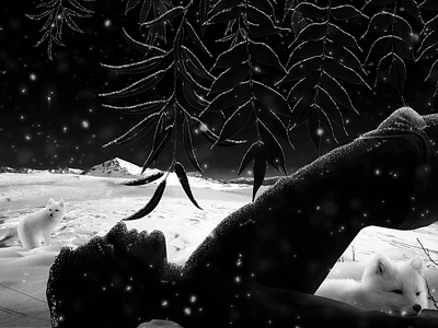 ˗ˏˋ🖤❄️🖤ˎˊ˗ animation arctic black boy christmas fox gay graphic design illustration male man monochrome noir photoshop polar queer snow snowfall white winter