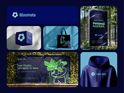 Case Study: Designing the Bloomsta Brand branding graphic design logo