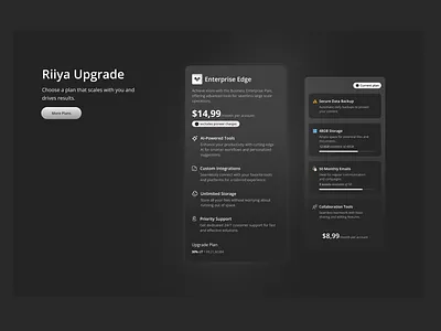Riiya Plan Upgrade app branding card design fintech graphic design illustration landing page logo plan pricing typography ui upgrade ux vector web
