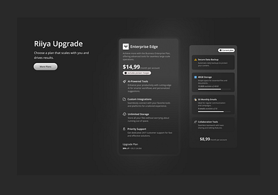 Riiya Plan Upgrade app branding card design fintech graphic design illustration landing page logo plan pricing typography ui upgrade ux vector web