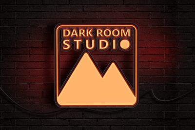 Dark Room Studio logo design brand identity branding illustration logo logo design