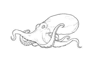 Octopus design illustration