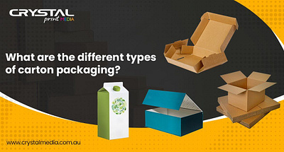 Discover Different Types of Carton Packaging for Your Products