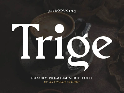 Trige Serif Luxury Font font luxury premium sans serif text type