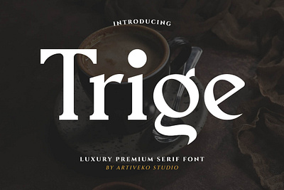 Trige Serif Luxury Font font luxury premium sans serif text type