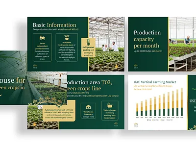 PPT Presentation Slide Deck "Greenhouse for growing green crops" dubai greenhouse hydroponic plant pitch deck powerpoint pptx presentation slide deck startup