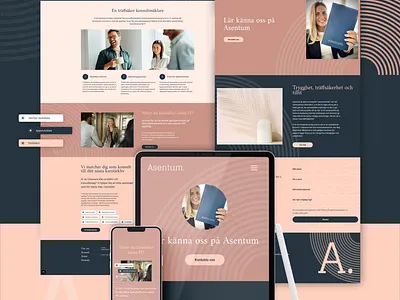 Web design for a Swedish consulting broker