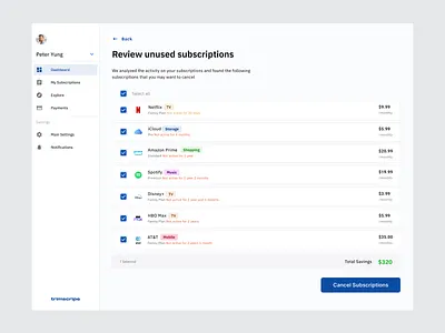 Review subscriptions dashboard data visualization subscriptions ui ux ux design web design