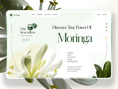 Natural products e-shop branding design e commerce figma landingpage natural trends 2025 typo typography ui uxui web design