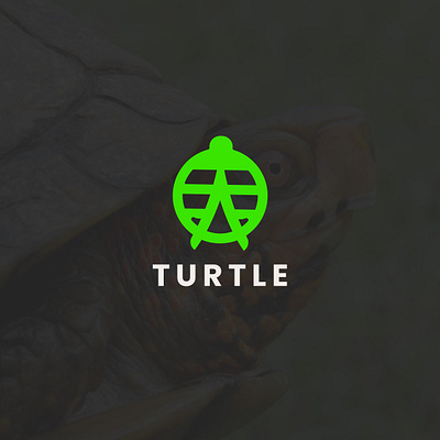 Turtle Logo Brand identity Design brand design brand guide brand identity branding custom tshirt design graphic design illustration logo design love minimalist modern professional tech logo design tshirt design turtle turtle logo design unique