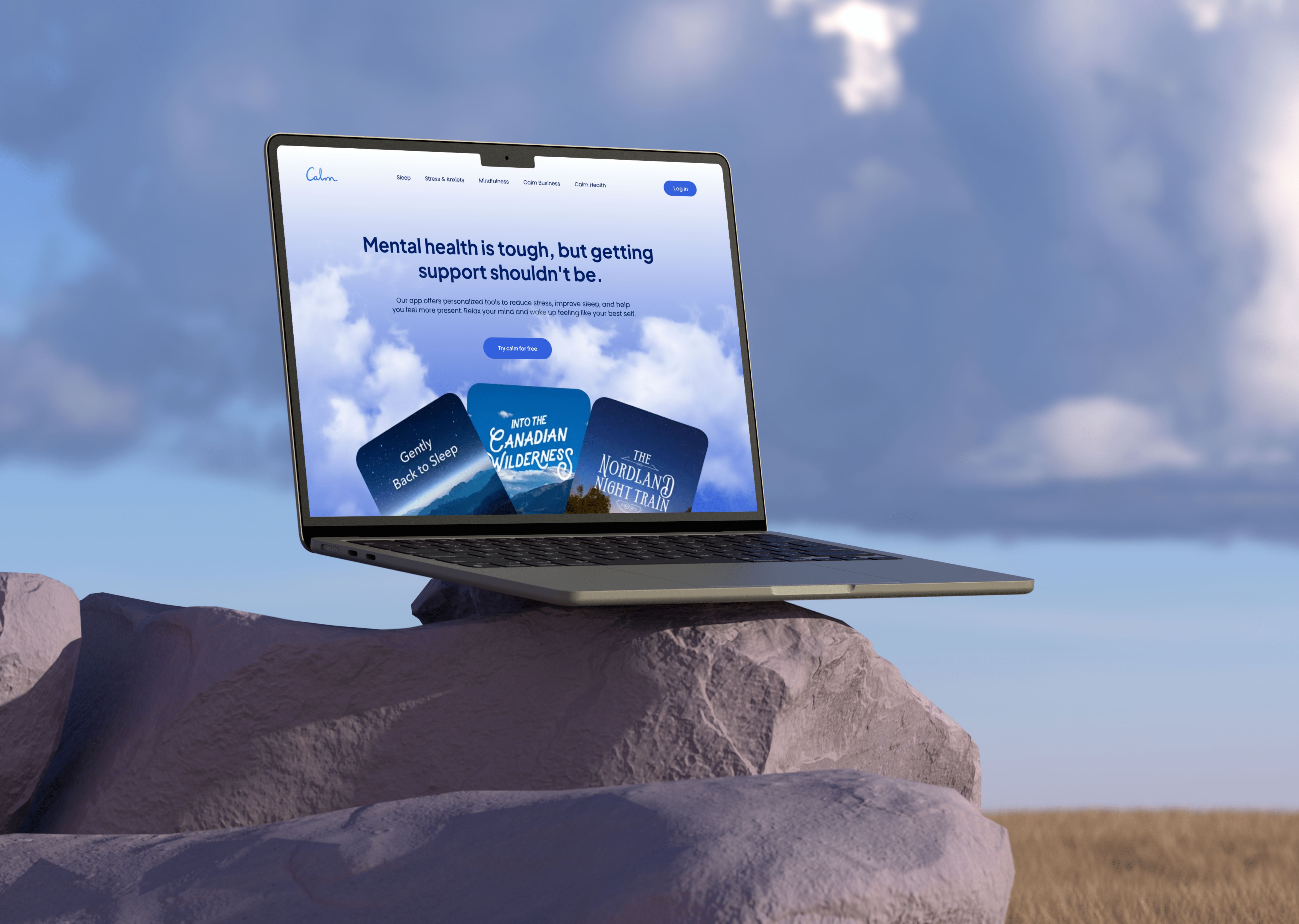 SaaS Website Redesign: Calm design audit high converting landing page meditation mindfulness minimal modern redesign saas ui ui design ui ux ux design web design website design