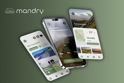 Mandry App & Website app ui ux web design