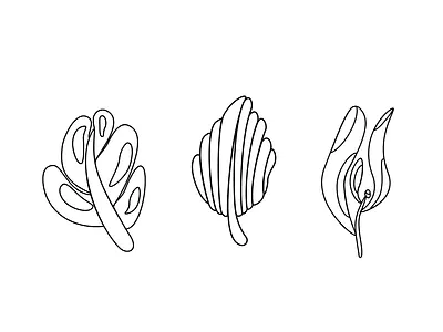 Botanicals illustration